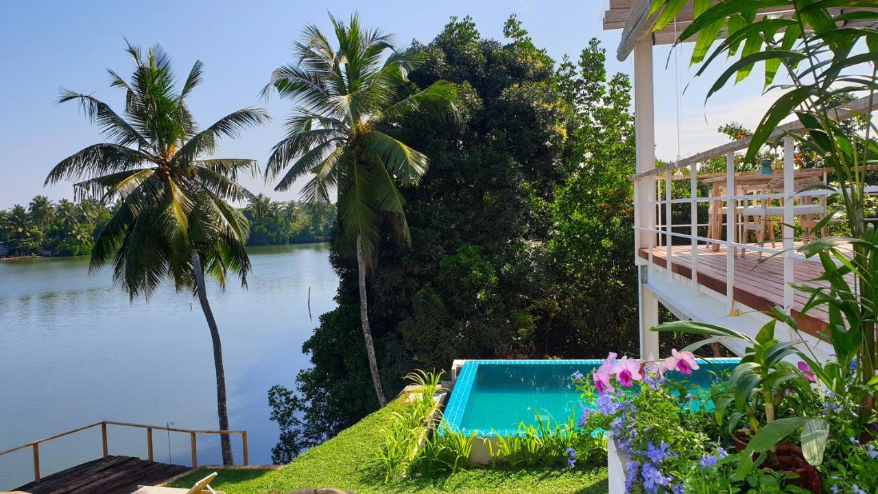 33 Lake Terrace هيكادوفا المظهر الخارجي الصورة